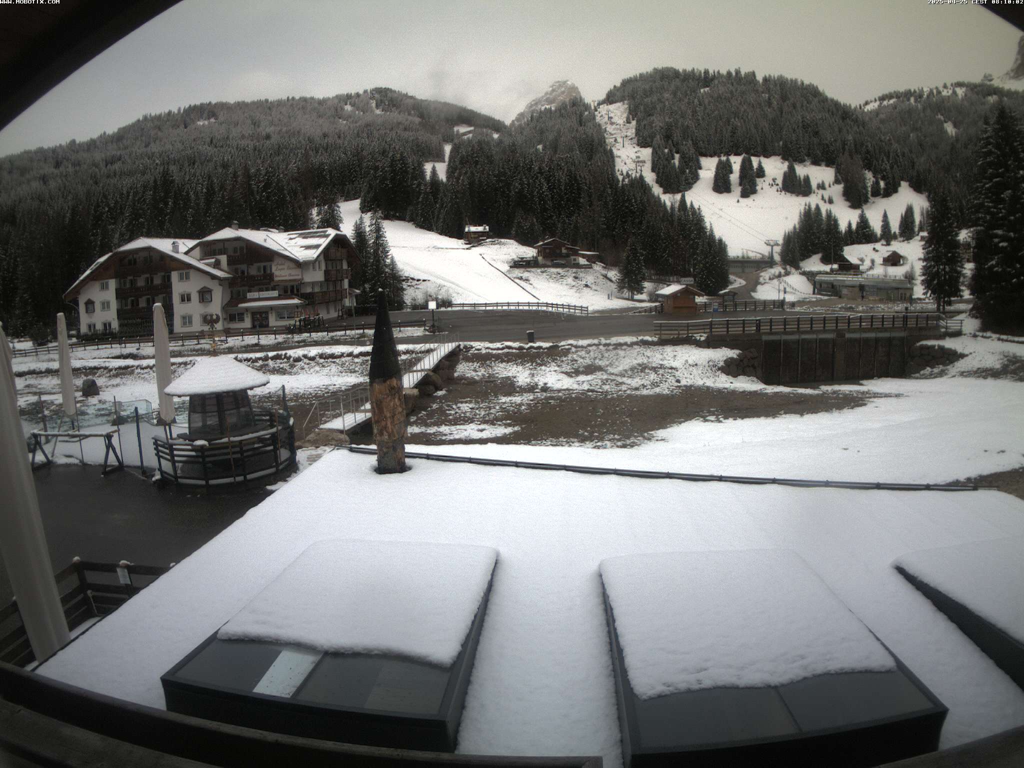 Webcam Lupo Bianco - Campitello di Fassa, Val di Fassa