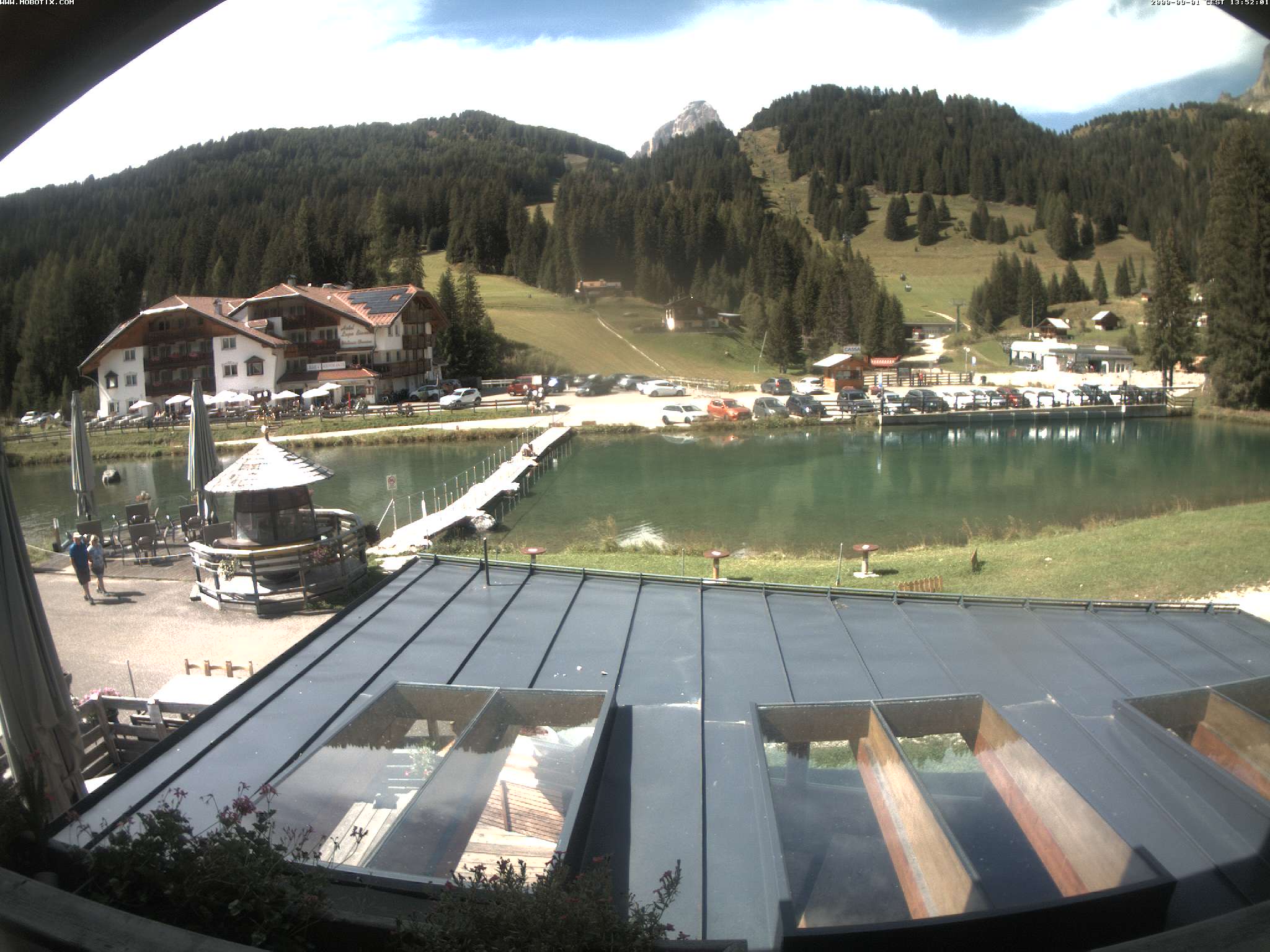 Lupo Bianco – Campitello di Fassa