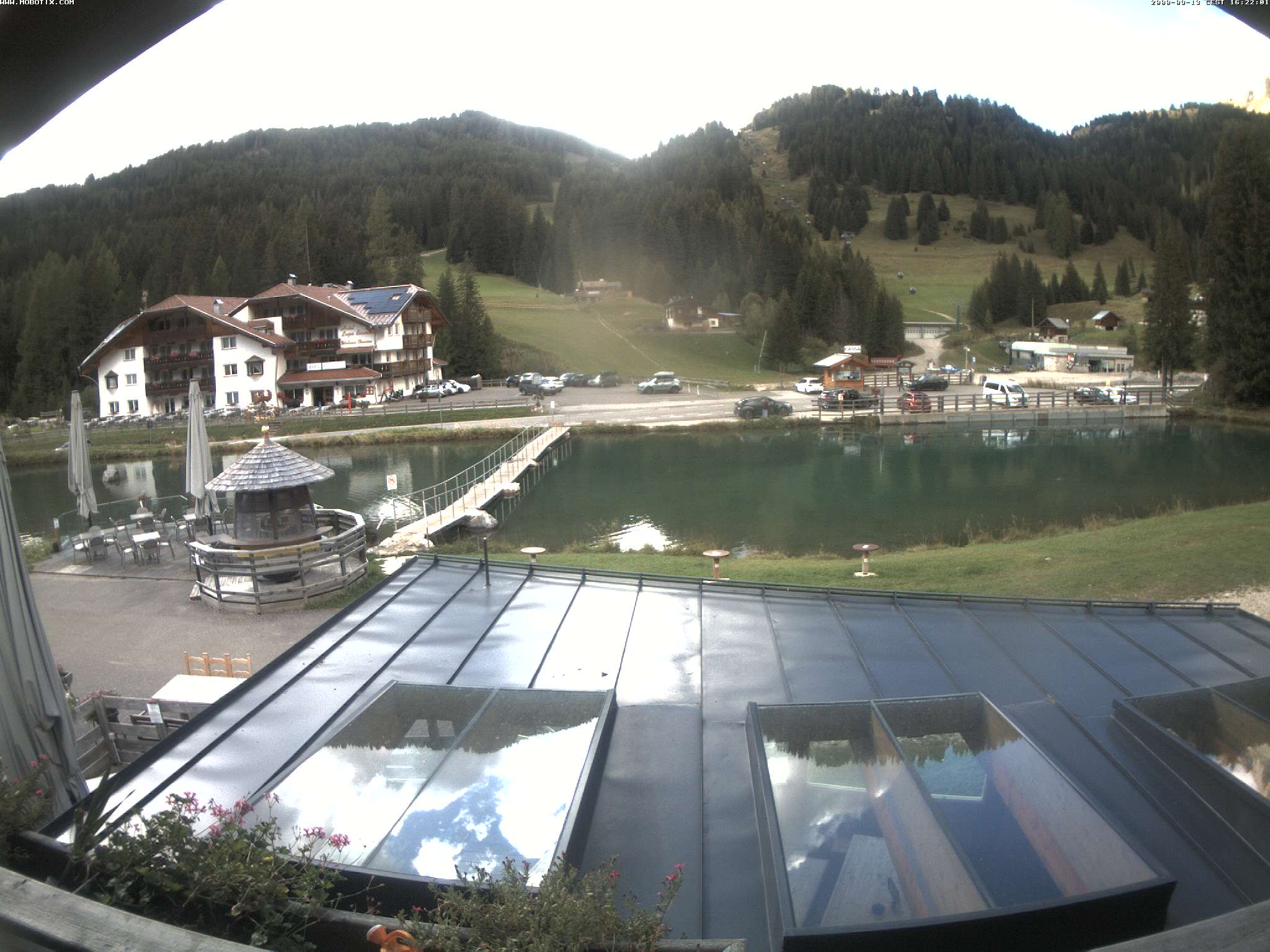 Lupo Bianco – Campitello di Fassa