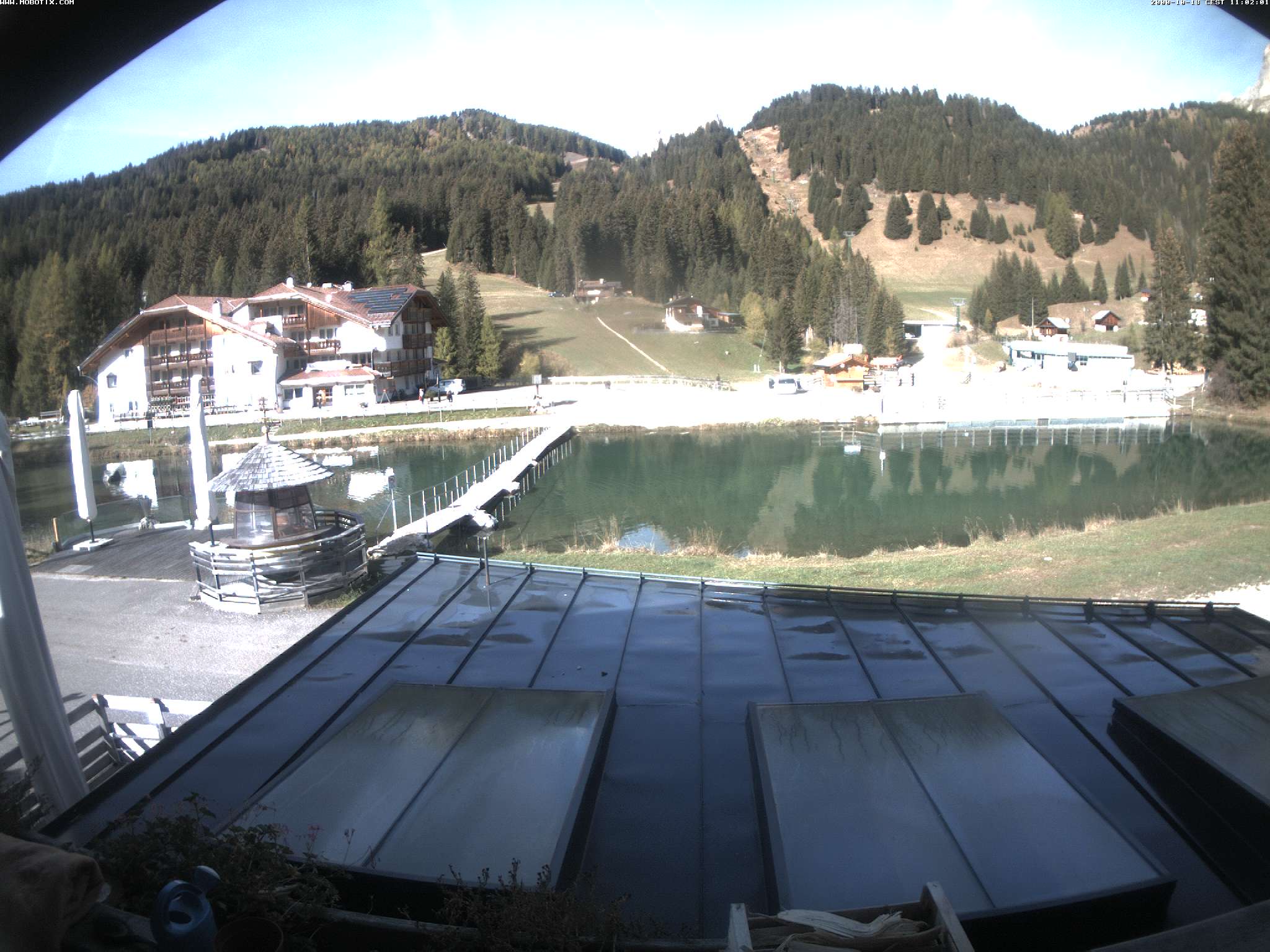 Lupo Bianco – Campitello di Fassa